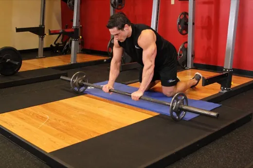 Ab Wheel Rollout demonstration