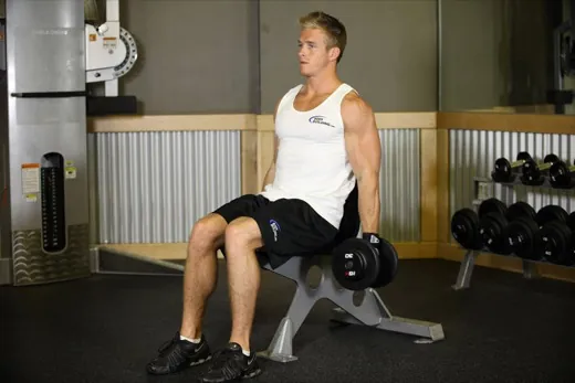Seated Dumbbell Curl demonstration